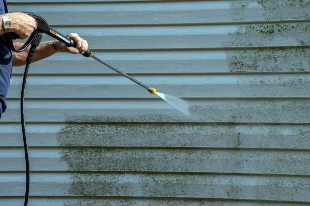 Best Affordable Power Washing  in Valmeyer, IL