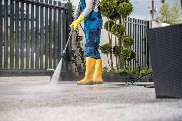 Best Pressure Washing Company Near Me  in Valmeyer, IL