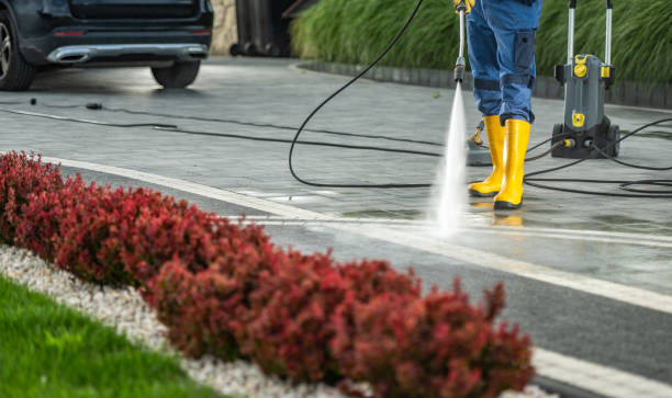 Best Roof Power Washing Services  in Valmeyer, IL