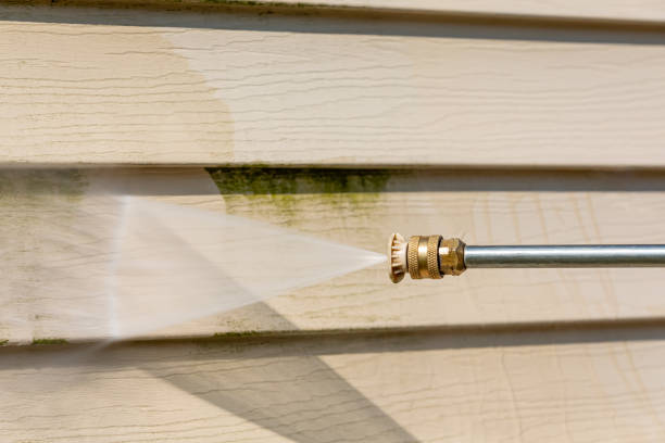 Best Affordable Pressure Washing  in Valmeyer, IL